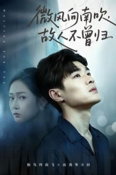 微风向南吹，故人不曾归