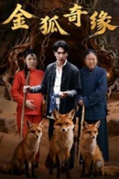 金狐奇缘