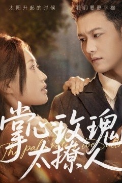 掌心玫瑰太撩人