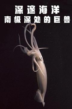 深邃海洋：南极深处的巨兽
