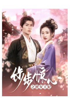 步步惊心之庶女王妃