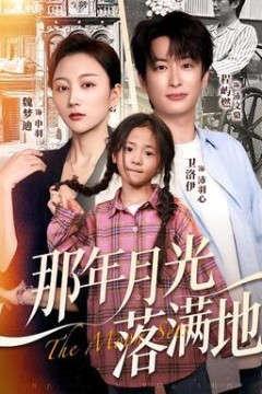 那年月光落满地