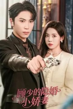 顾少的隐婚小娇妻