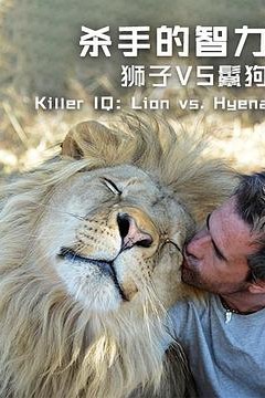 杀手的智力：狮子VS鬣狗