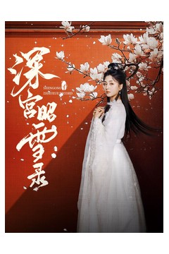 深宫昭雪录