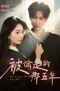 被偷走的那五年