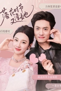 落花时节又逢她