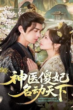 神医傻妃名动天下