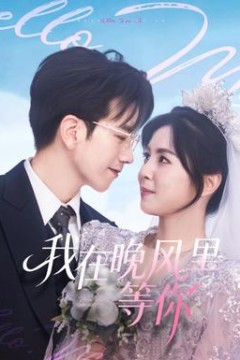 我在晚风里等你
