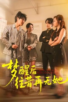 梦醒后往昔再无她