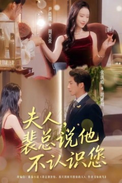 夫人裴总说他不认识您