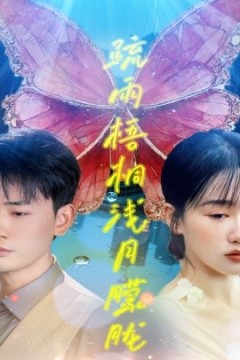 疏雨梧桐浅月朦胧