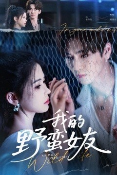 我的野蛮女友