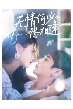 无情何必怨相逢