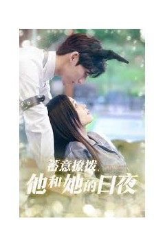 蓄意撩拨他和她的日夜