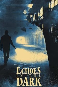 黑暗中的回声