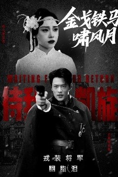 金戈铁马啸风月