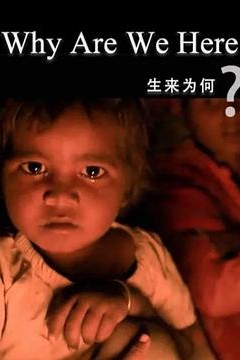 生来为何