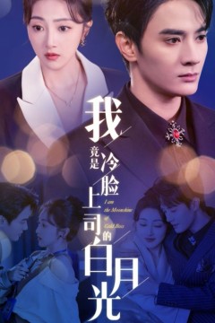 我竟是冷脸上司的白月光