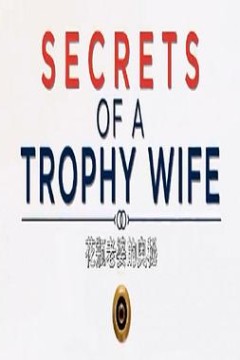 花瓶老婆的秘密