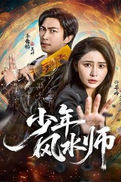 少年风水师