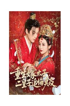 重生嫁太子二皇子追悔莫及