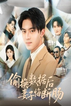 偷换数据后妻子悔断肠