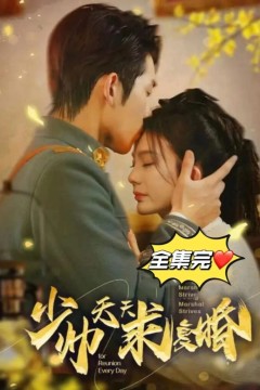 少帅天天求复婚