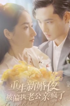 重生新婚夜被偏执老公亲疯了