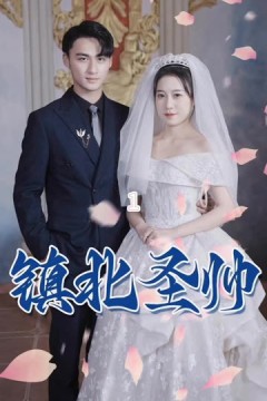 镇北圣帅&镇北神帅