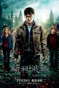 哈利·波特与死亡圣器(下)