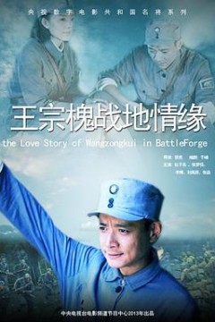 王宗槐战地情缘