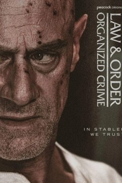 法律与秩序：组织犯罪第五季