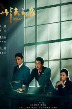 以法之名2025