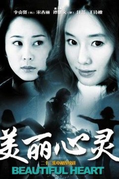 美丽心灵2004