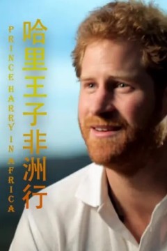 哈里王子非洲行