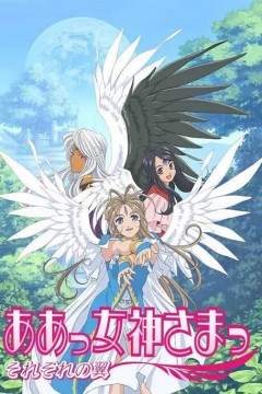 我的女神第二季
