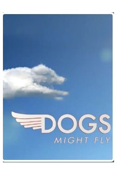 狗狗也许会飞