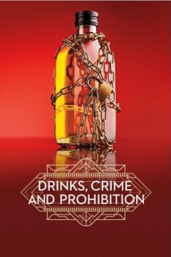 酒精、犯罪与禁酒令