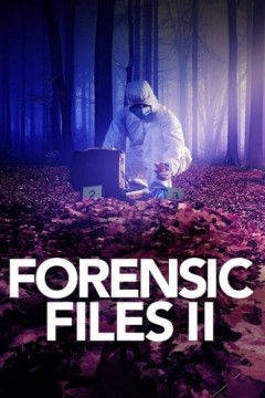 美国法医档案2第二季
