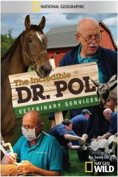 动物神医第二季