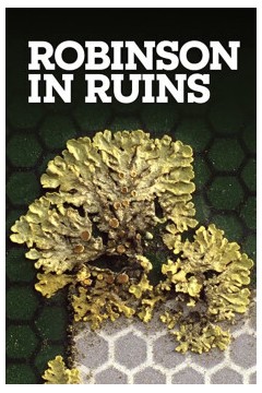 废墟中的罗宾森2010