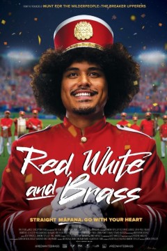 红色、白色和黄铜色