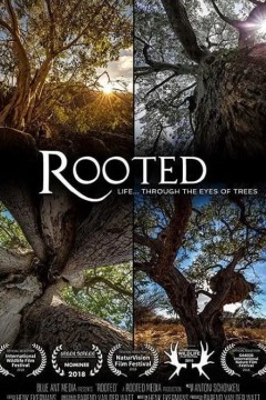 生命之树第一季