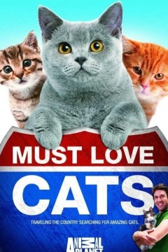 动物星球：为猫痴狂第一季