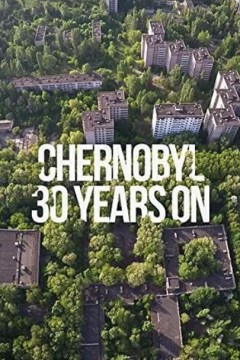 切尔诺贝利：30年后