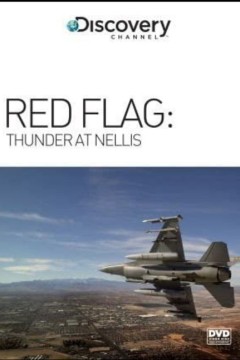 红旗演习：内利斯惊雷2005