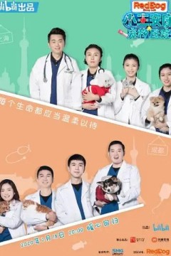 宠物医院第二季