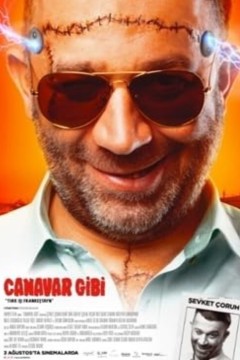 卡纳瓦尔·吉比