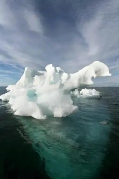 追踪北极海